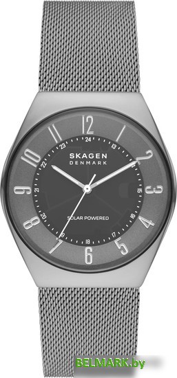Наручные часы Skagen Grenen SKW6836 - фото