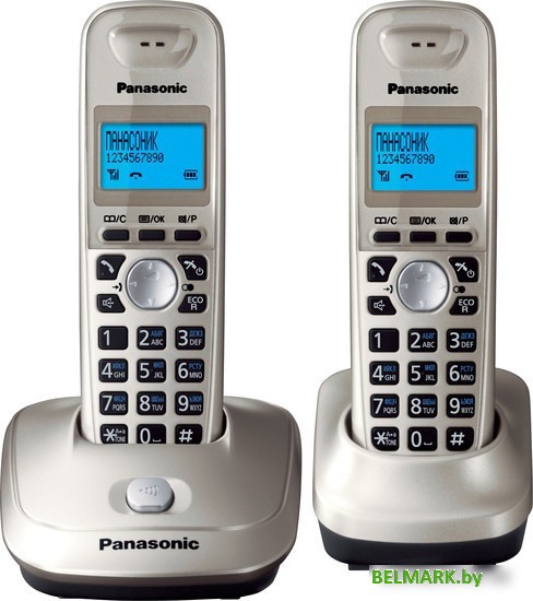 Радиотелефон Panasonic KX-TG2512RUN - фото