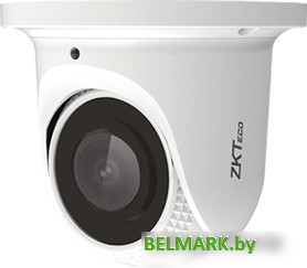 IP-камера ZKTeco ES-854N21C - фото
