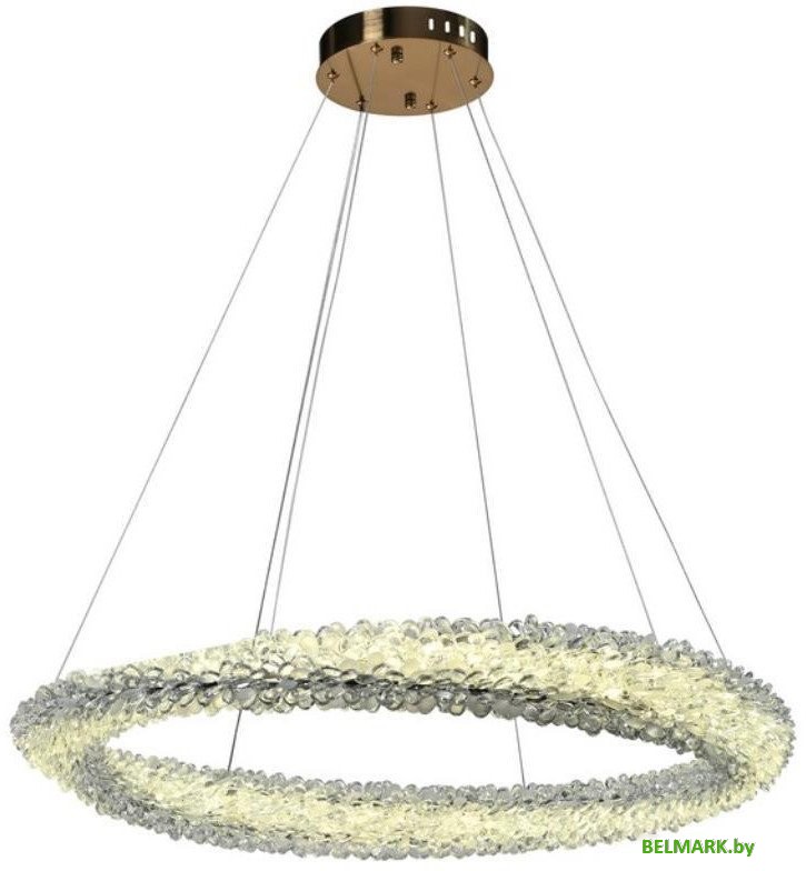 Подвесная люстра Aployt APL.853.03.88 - фото