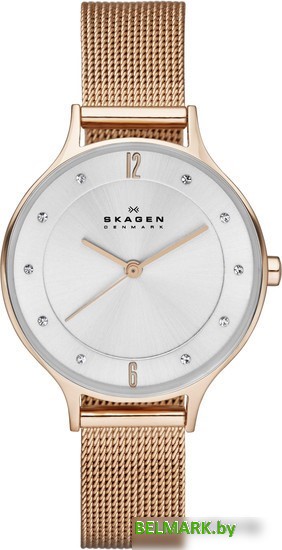 Наручные часы Skagen SKW2151 - фото