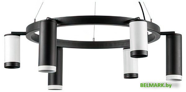 Подвесная люстра Lightstar Rullo LR01687336376 - фото