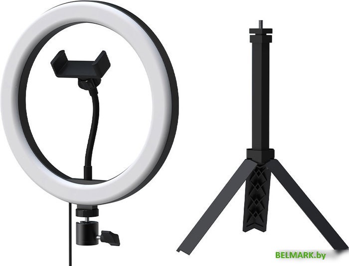 Кольцевая лампа Ritmix RRL-263 - фото