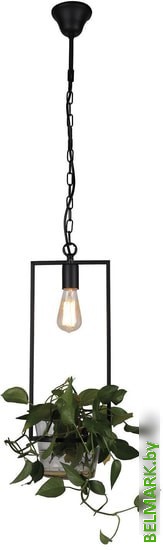 Подвесная люстра Favourite Situla 1975-1P - фото