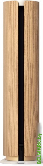 Беспроводная аудиосистема Bang & Olufsen Beosound Emerge (золотистый/светлый дуб) - фото2