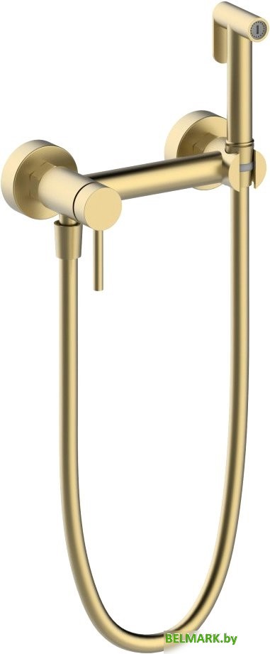 Гигиенический душ Vieir V462552-S - фото