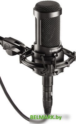 Микрофон Audio-Technica AT2035 - фото
