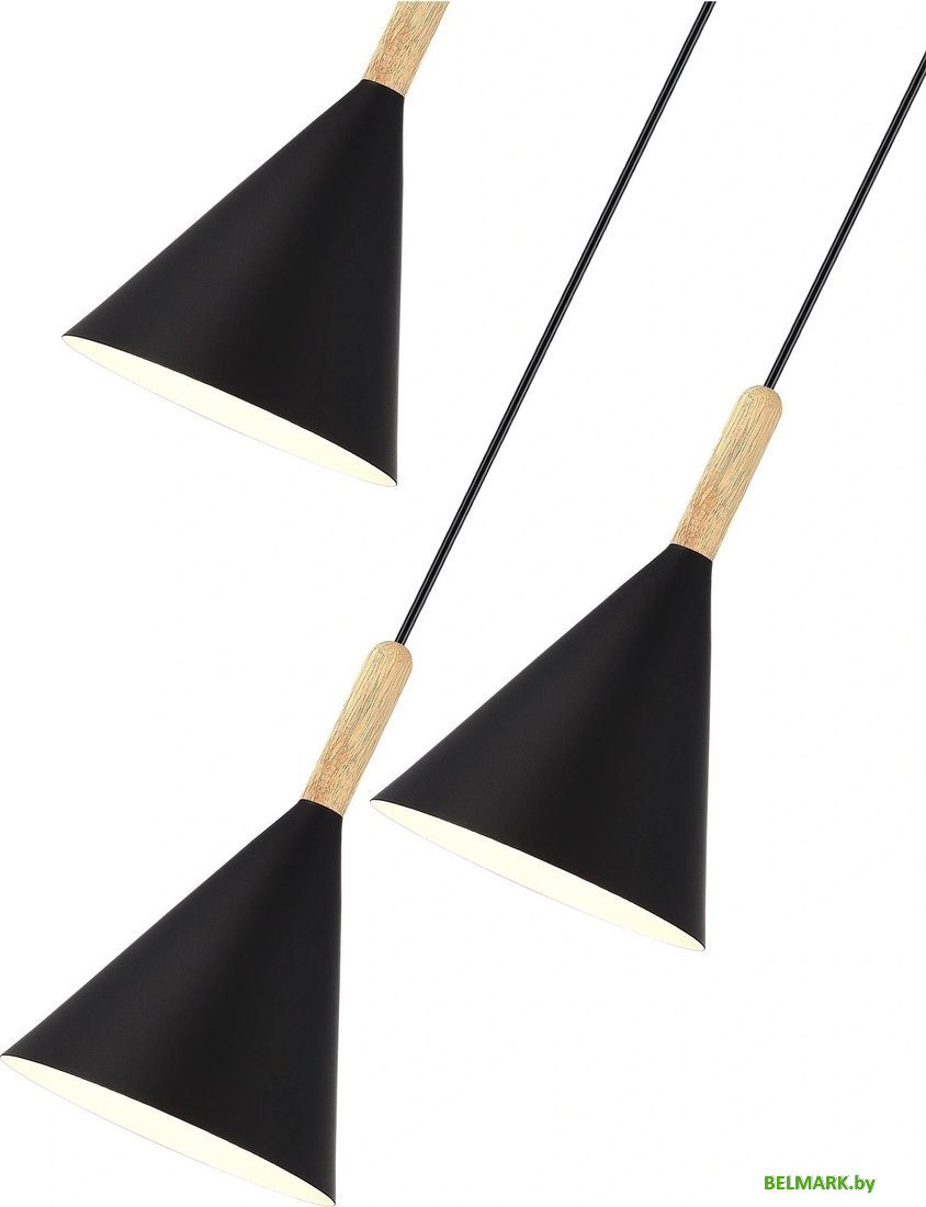 Подвесная люстра Evoluce SLE1255-423-03 - фото2