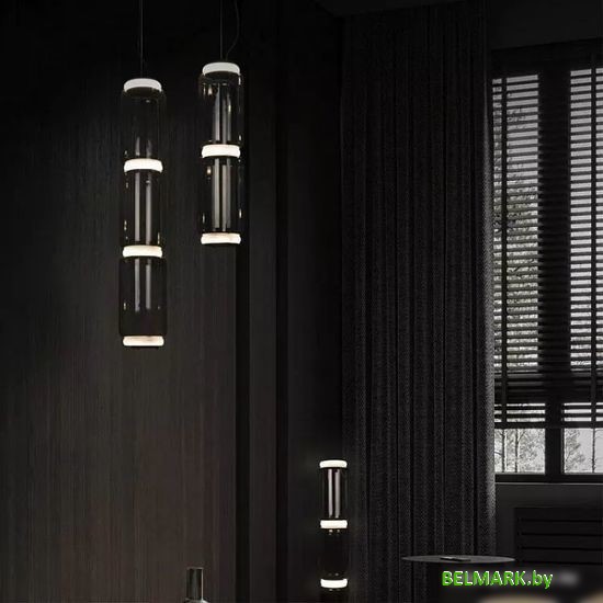 Подвесная люстра LOFT IT Noctambule 10193/L - фото2