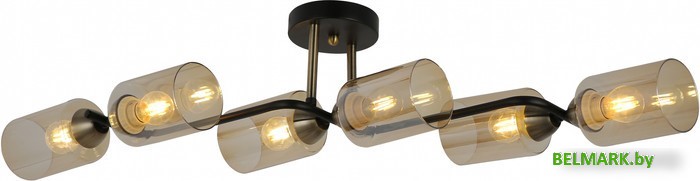 Припотолочная люстра Mirastyle MD-8148/6 BK+ABR - фото