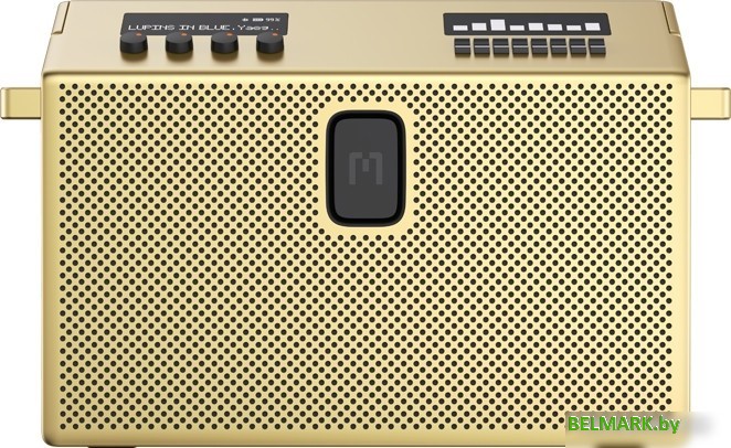 Беспроводная колонка Defunc Mondo BT Speaker Large (латунный) - фото2