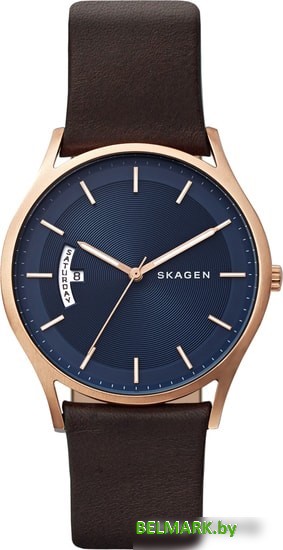 Наручные часы Skagen SKW6395 - фото