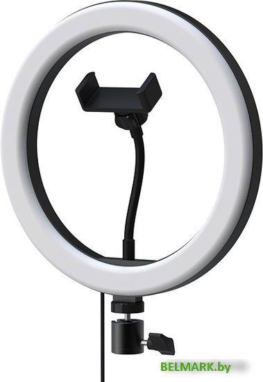 Кольцевая лампа Ritmix RRL-260 - фото