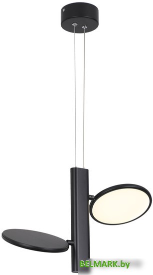 Подвесная люстра Lussole Aberdeen LSP-7084 - фото