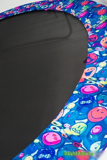 Батут Calviano Inside Master Smile 312 см - 10ft (внутренняя сетка, с лестницей) - фото2