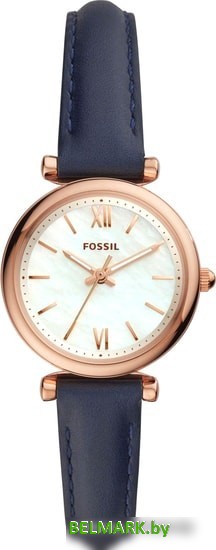 Наручные часы Fossil Carlie Mini ES4502 - фото