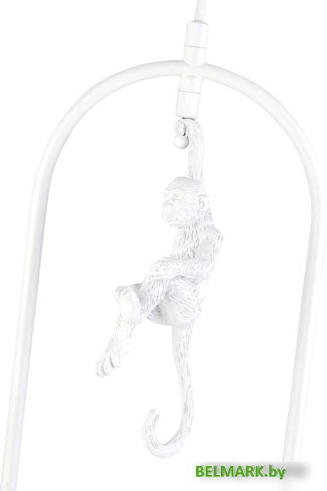 Подвесная люстра Evoluce Tenato SLE115123-01 - фото2