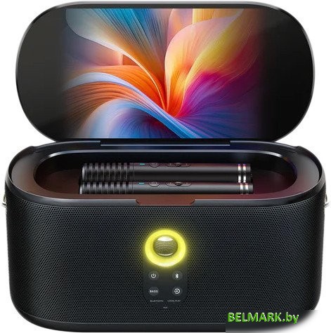 Колонка с умным дисплеем Ikarao Shell S1 - фото