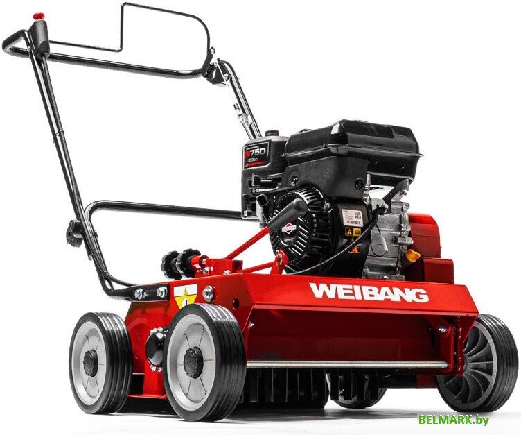 Скарификатор Weibang WB 486CRB - фото