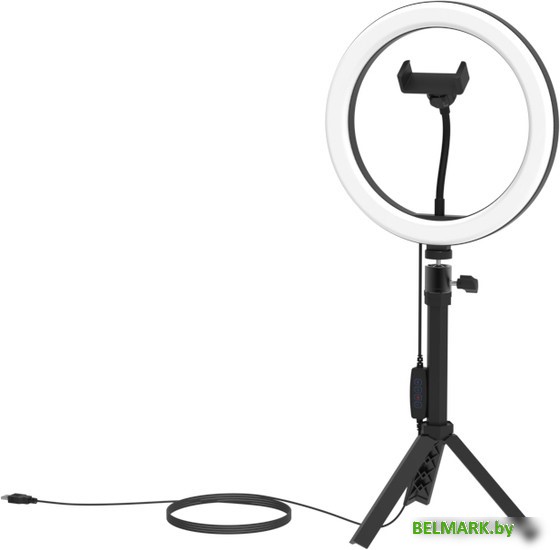 Кольцевая лампа Ritmix RRL-263 - фото2