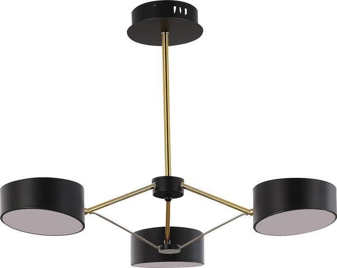 Люстра средней высоты Evoluce Valle SLE6005-402-03 - фото2