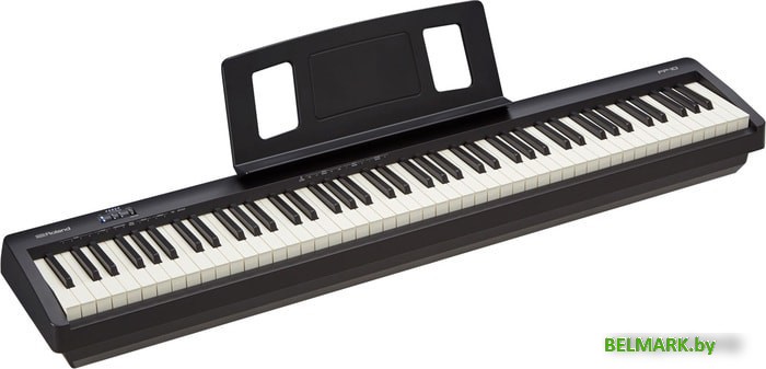 Цифровое пианино Roland FP-10 - фото2
