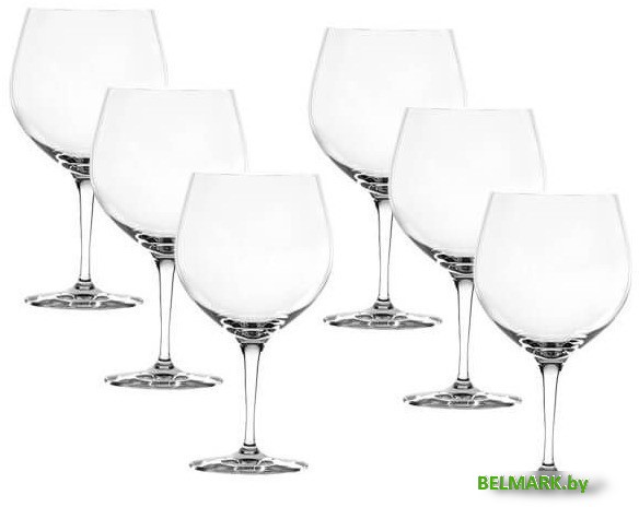 Набор бокалов для вина Spiegelau BBQ&Drinks Джин и Тоник 4391780 (6 шт) - фото