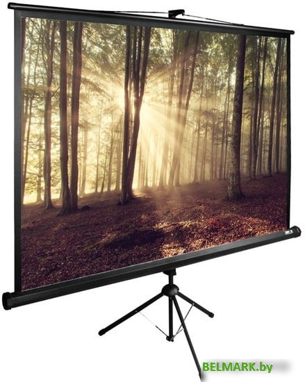 Проекционный экран CACTUS TriExpert 135x180 CS-PSTE-180X135-BK - фото