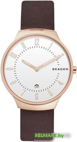 Наручные часы Skagen SKW6458 - фото
