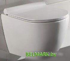 Унитаз CeramaLux TR 2196 - фото