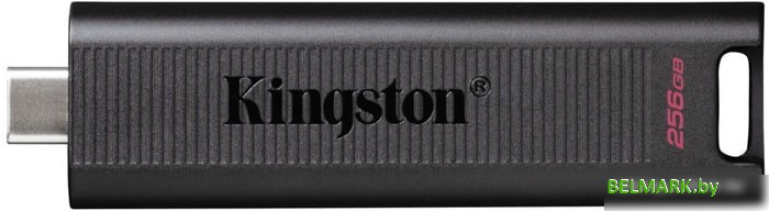 USB Flash Kingston DataTraveler Max Type-C 256GB - фото2