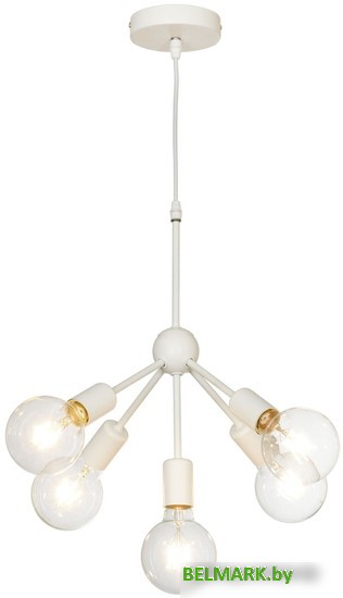 Подвесная люстра Lussole Kenner LSP-8268-CL - фото