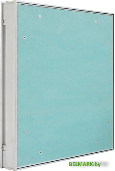 Люк Alkraft Мастер (200x300) - фото2