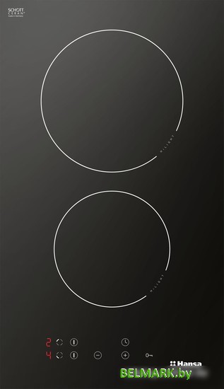 Варочная панель Hansa BHC36106 - фото