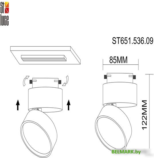 Подвесная люстра ST Luce Tivoli SL1622.303.03 - фото