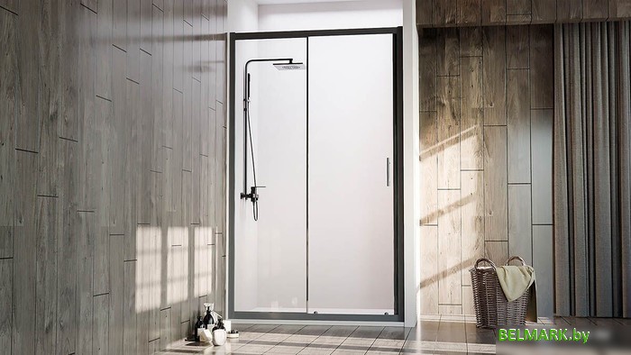 Душевая дверь Veconi VN-72B VN72B-100-01-C4 - фото2
