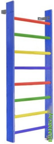 Шведская стенка (лестница) Dinamika Цветная ZSO-000068 (3.2x1, сосна) - фото