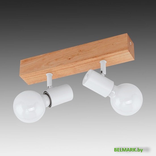 Спот Eglo Townshend 3 33169 - фото