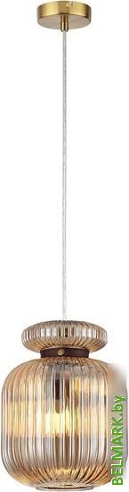 Подвесная люстра Odeon Light Jugi 5042/1A - фото2