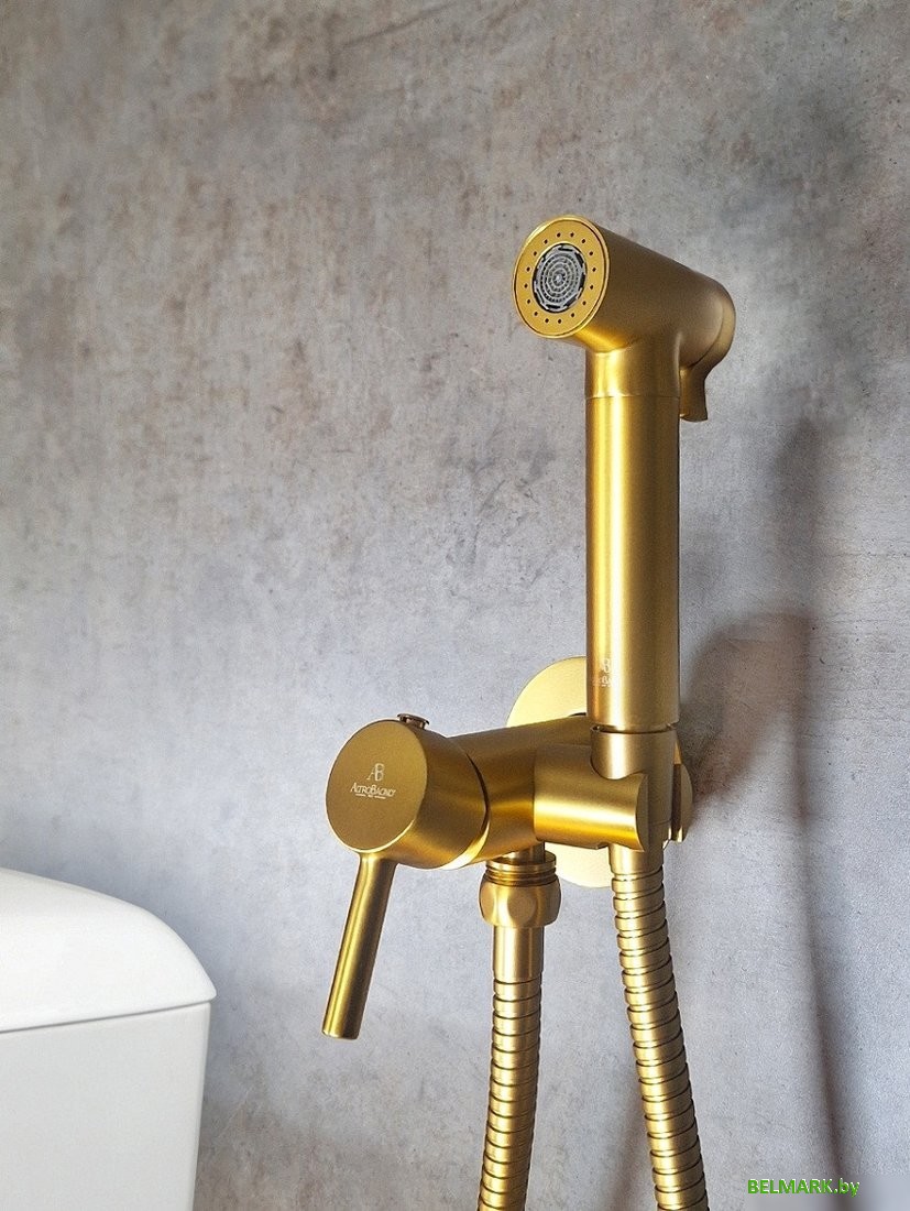 Гигиенический душ Altrobagno Modern 060117 OrSp - фото2