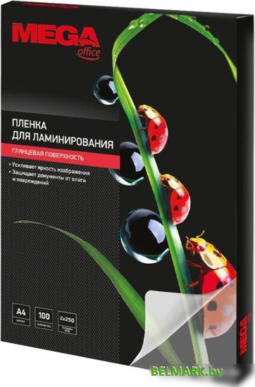 Пленка для ламинирования ProMega Office А4 250 мкм 254703 (100 шт) - фото