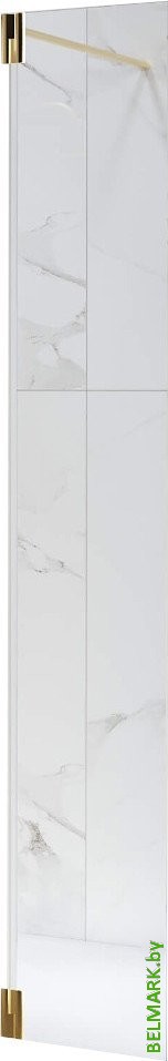 Душевая стенка RGW Z-071Gb 352207103-16 (золото браш/прозрачное стекло) - фото