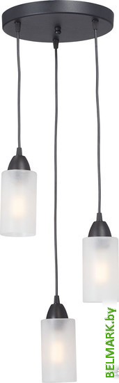 Подвесная люстра Vitaluce V3787-1/3S - фото