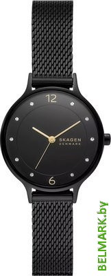 Наручные часы Skagen SKW3112 - фото
