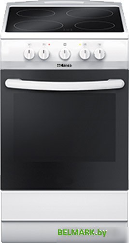 Кухонная плита Hansa FCCW53040 - фото