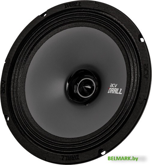 Широкополосная АС ACV DR8 Drall - фото