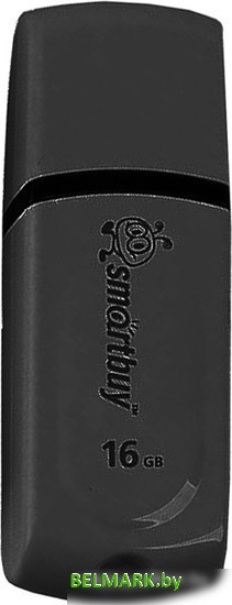 USB Flash Smart Buy Paean 32GB Black (SB32GBPN-K) - фото
