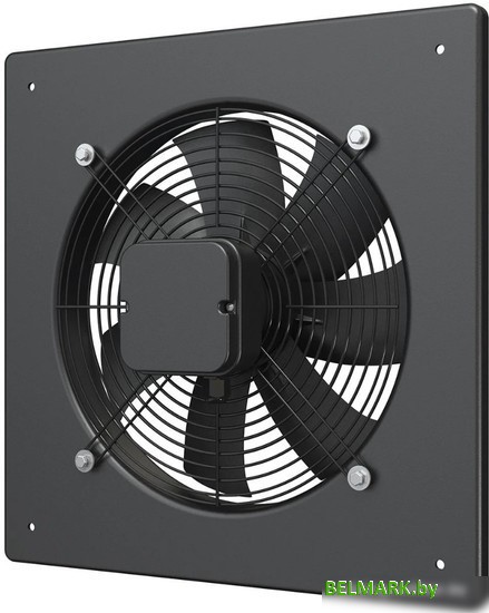 Осевой вентилятор ERA D 300 Storm 300 - фото
