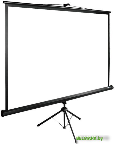 Проекционный экран CACTUS TriExpert 165x220 CS-PSTE-220X165-BK - фото2