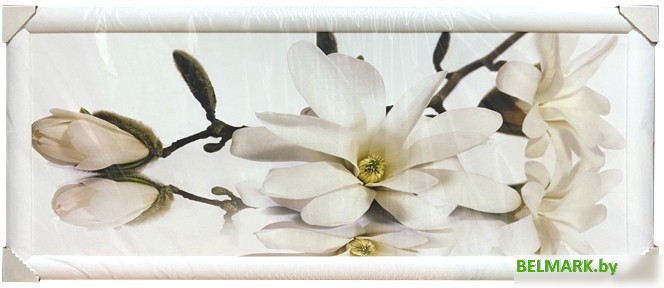 Картина Декарт 8Л3007 - фото